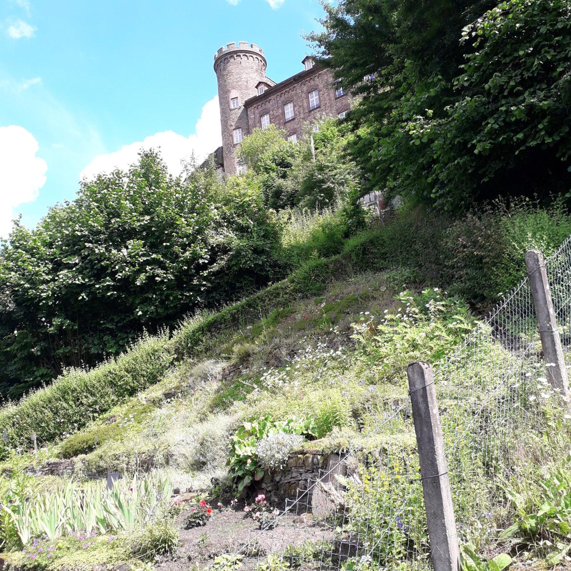 Geraeumiges Ferienhaus Beverungen Bagian luar foto